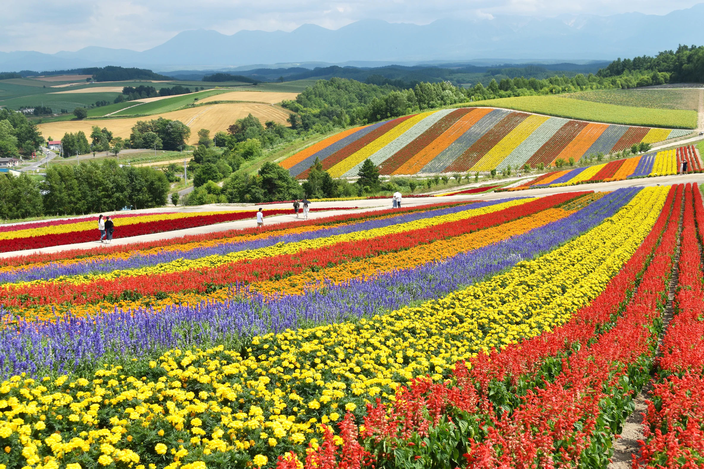 Featured image of post Hokkaido Travel Guide