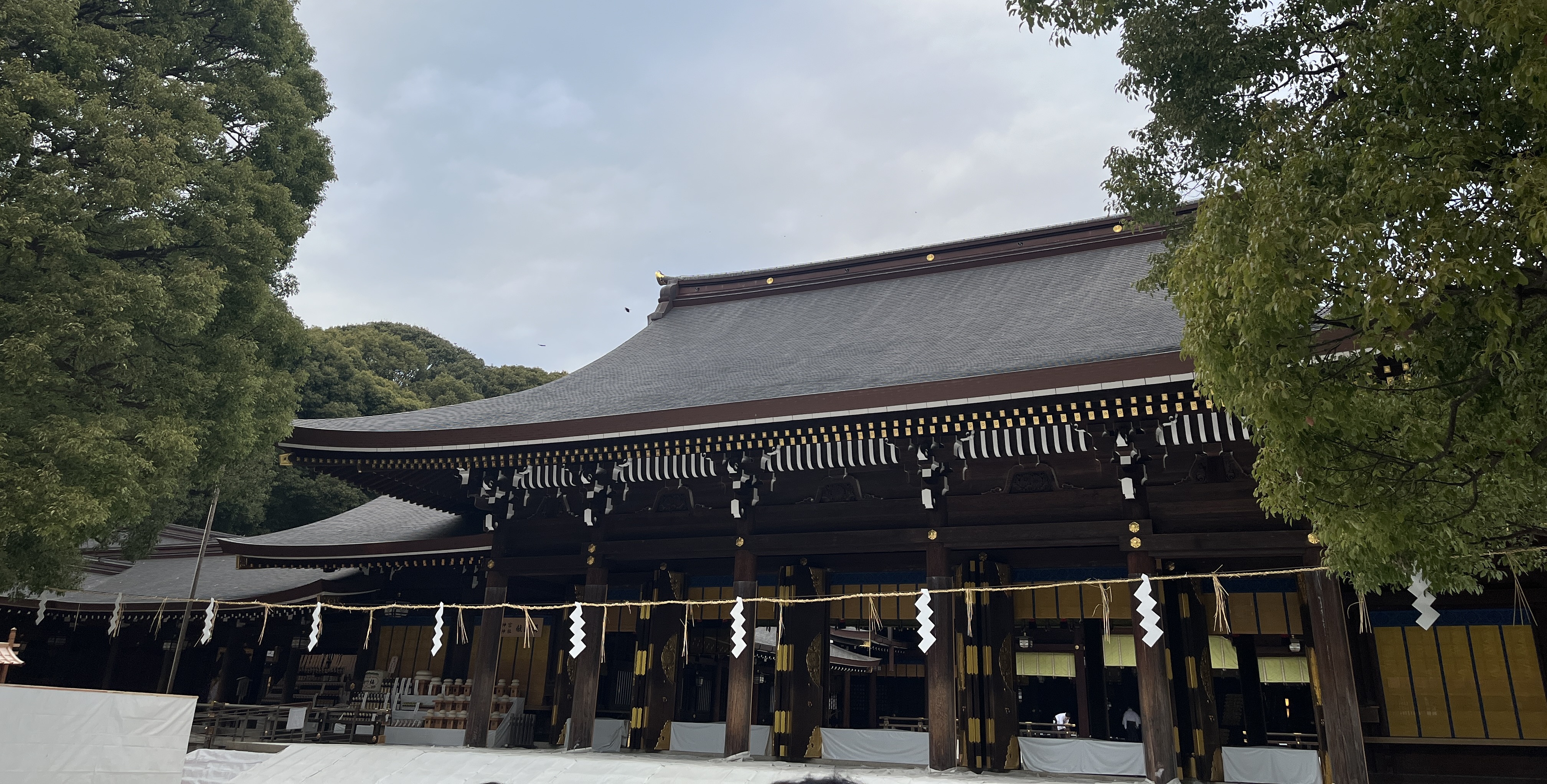 Featured image of post Meiji Jingu: The Engineered Forest at the Center of Modern Japan