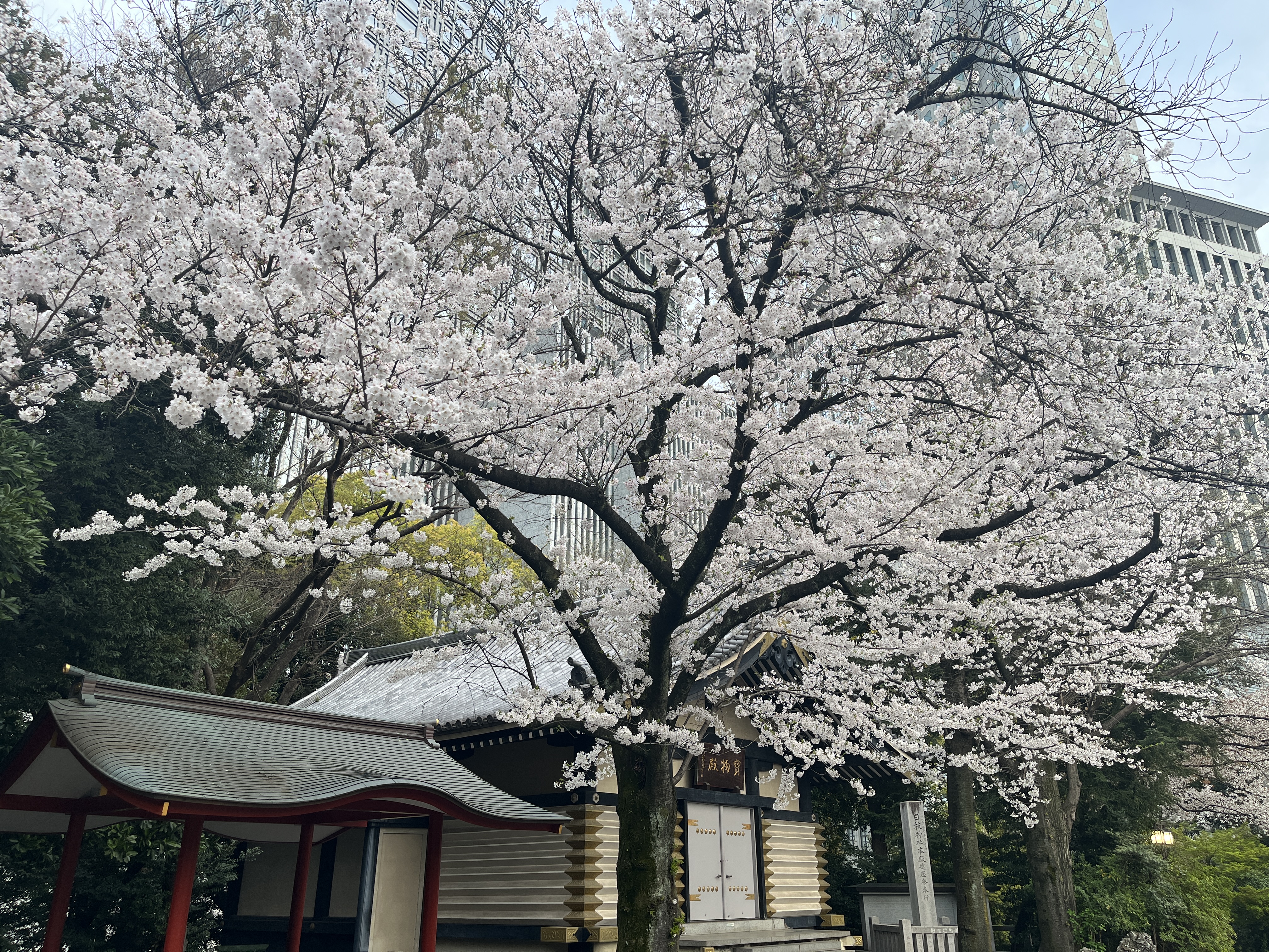 Featured image of post About