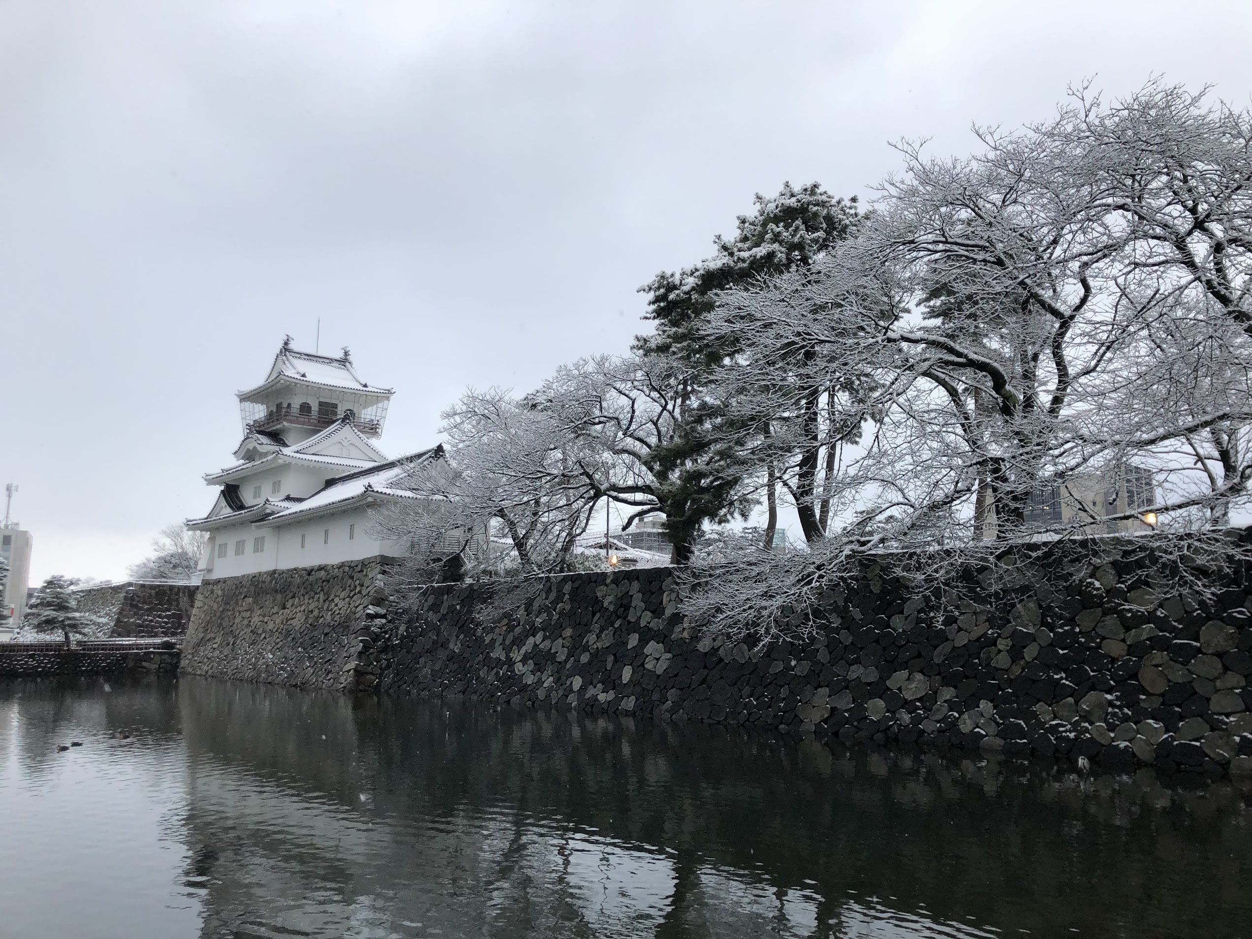 Featured image of post Toyama Travel Guide: What to Do, Eat, and See