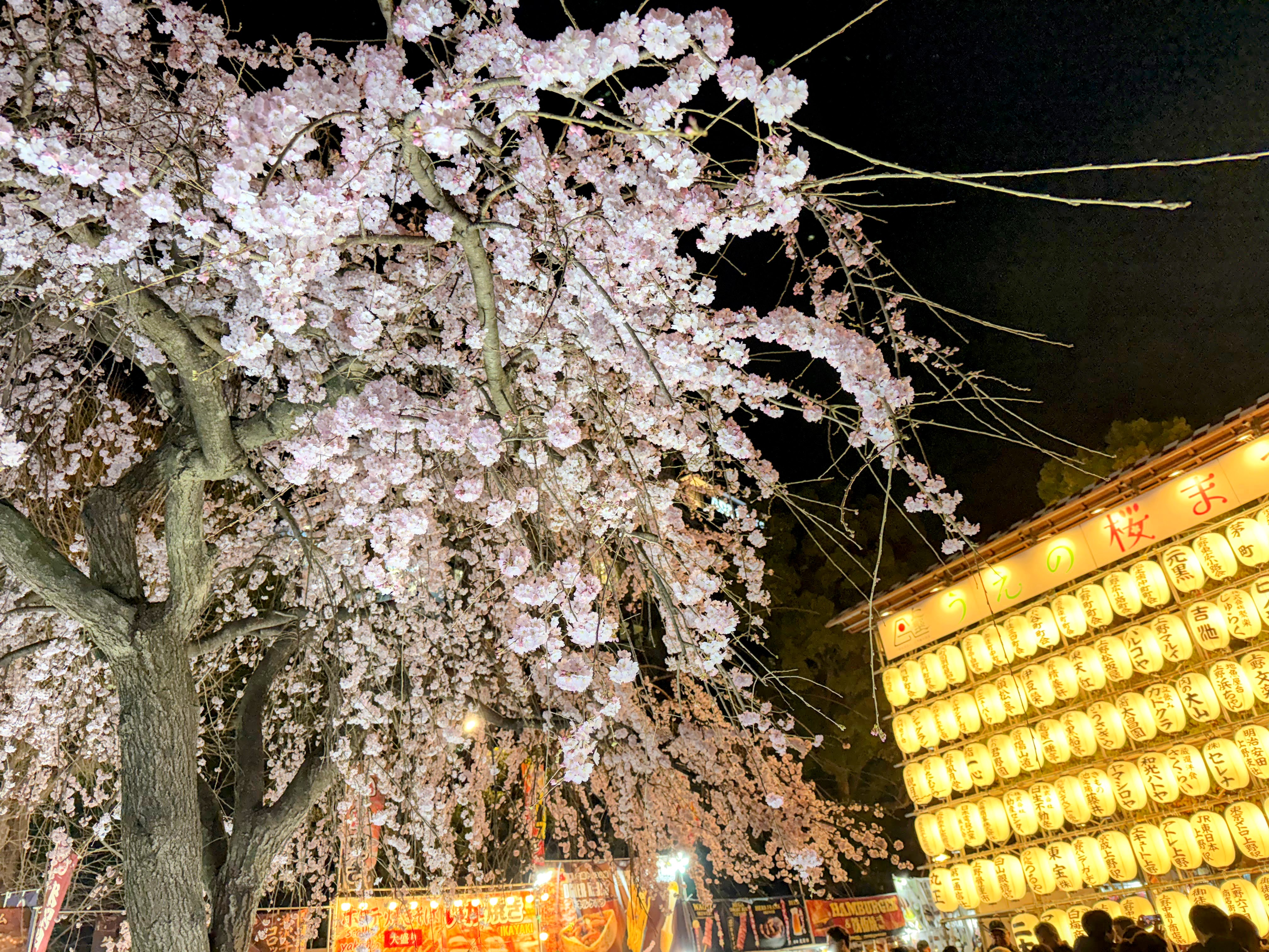 Featured image of post Ueno Nightlife Guide: Experience Retro Tokyo & Local Izakayas Like a Pro